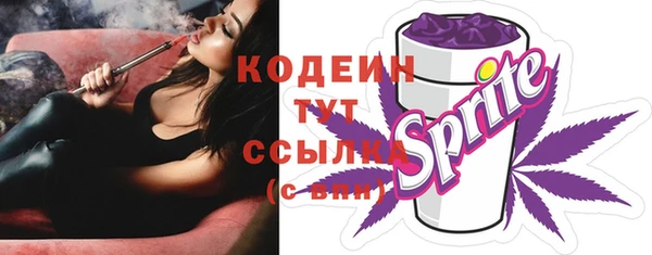 apvp Краснослободск