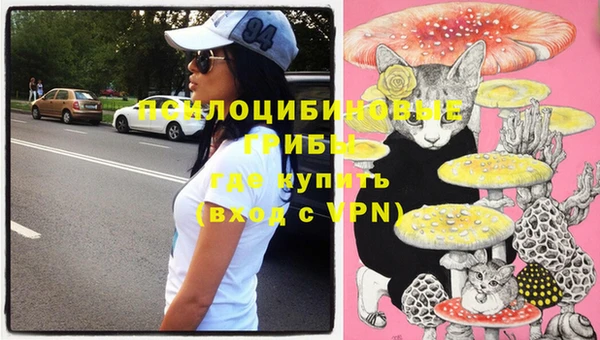 apvp Краснослободск