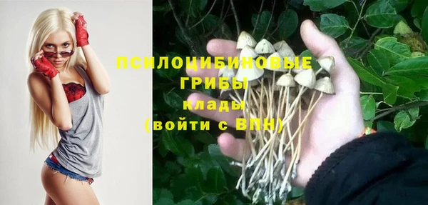 apvp Краснослободск