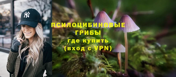 apvp Краснослободск