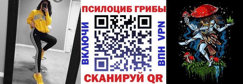Купить где  Сухиничи  Галлюциногенные грибы MAGIC MUSHROOMS 